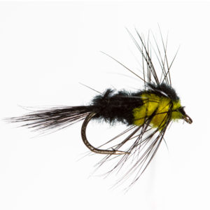Montana Yellow