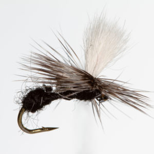 Black Ant White Parachute