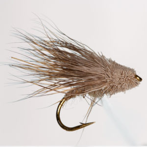 Caddis