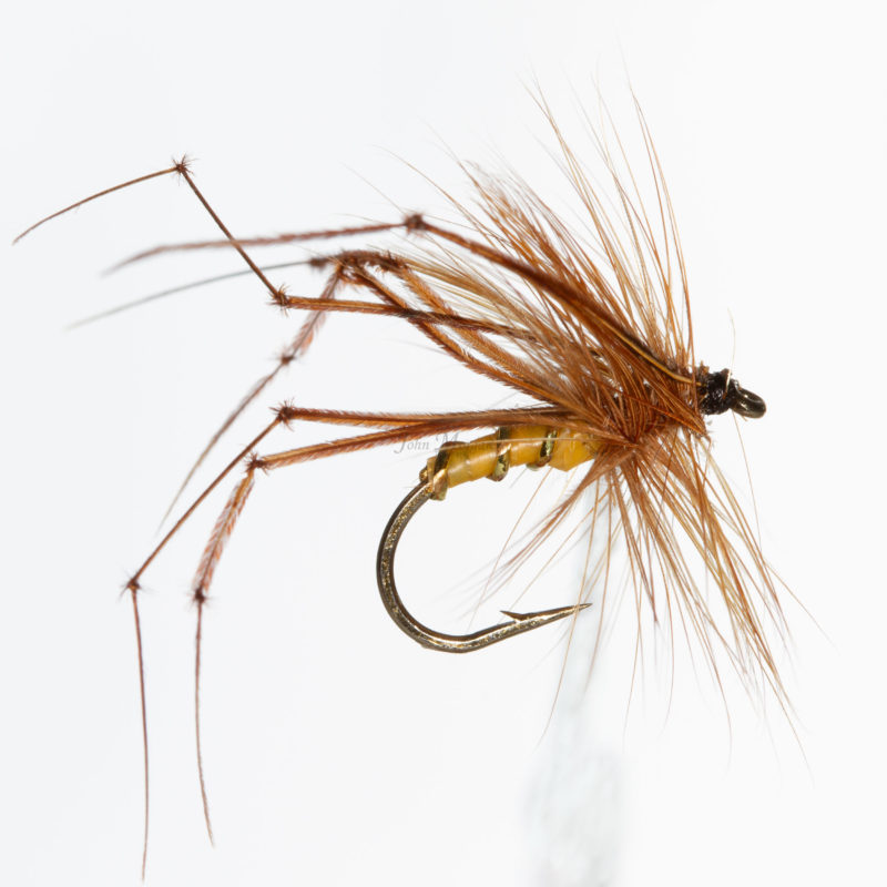 Daddy Long Legs Yellow