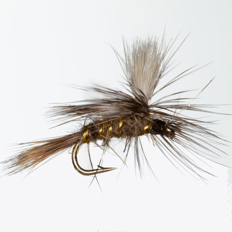 Hare Ear Parachute