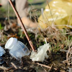 Rubbish collecting outdoors in nature, plogging concept